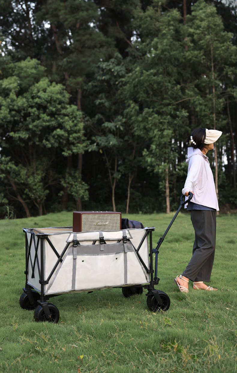 Folding trolly SF-070326004